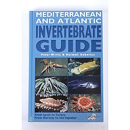 Mediterranean & Atlantic Invertebrate Guide
