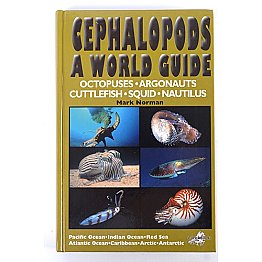 Book Cephalopods A World Guide