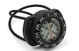 Compass Bungie Standard