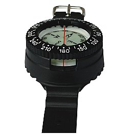 Compass Wrist Standard